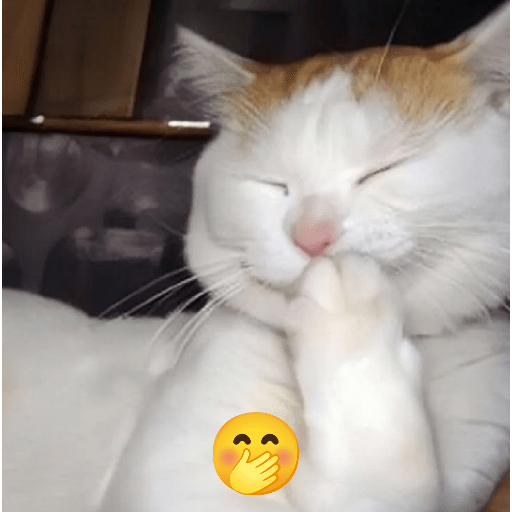 Kucing meme 9