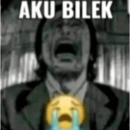Meme 11