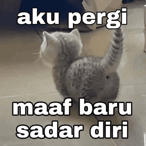 MEME KUCING BARU 2026🐱 15