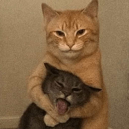 Meme Kucing Gemoy 😸✨ 6