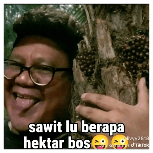 Nyawit nih orang 🌴 7