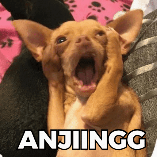 CATS AND DOGS MEME 12