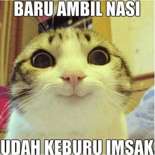 Meme sahur 4