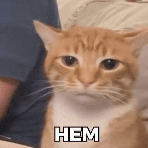 CATS AND DOGS MEME 2