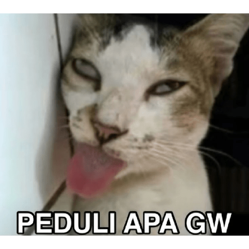 Stiker wa receh2  13