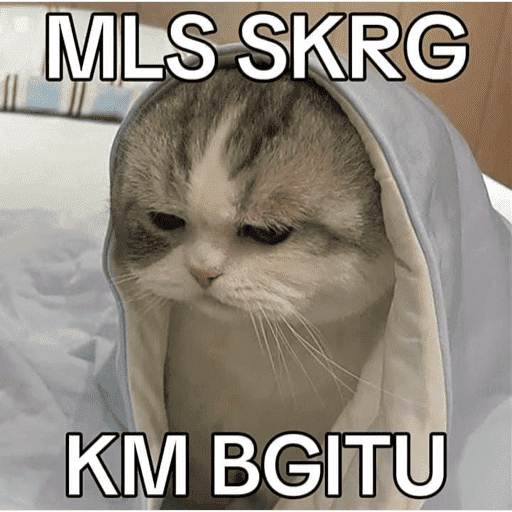 MEME KUCING BARU 2026🐱 8