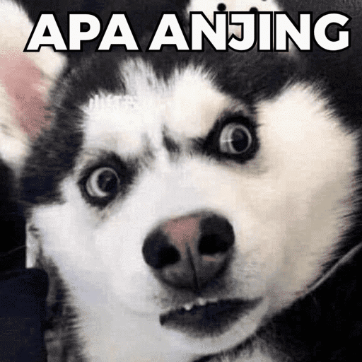 CATS AND DOGS MEME 5