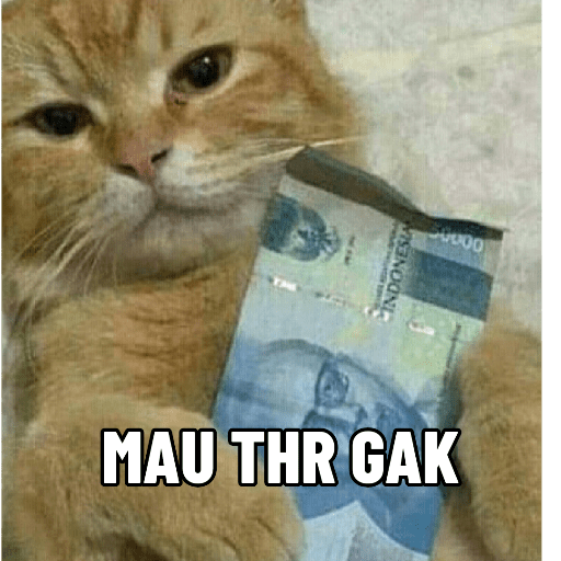 KUCING 10