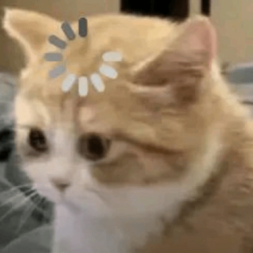 Meme kucing lucu 11