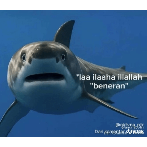 KATA-KATA TIKTOK VIRAL 30