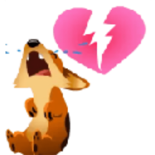 Perros facebook 6