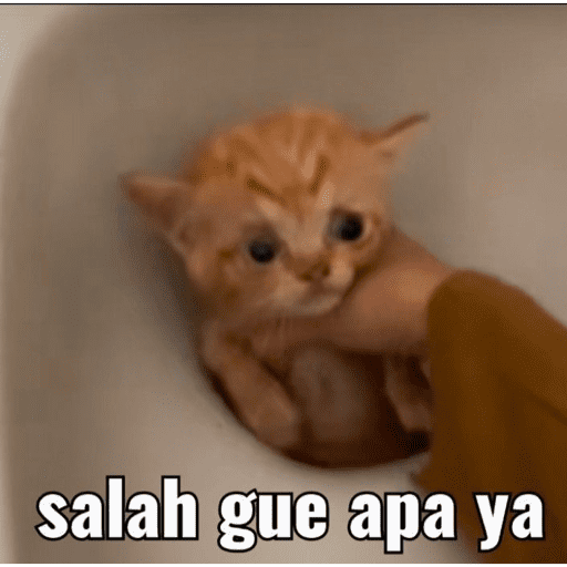MEME KUCING BARU 2026🐱 5