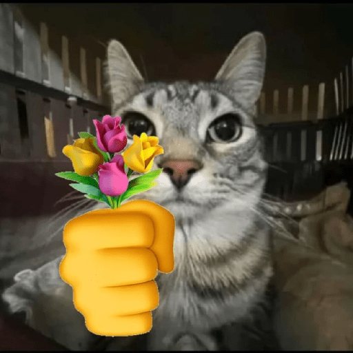 Kucing meme emoji🔥 6
