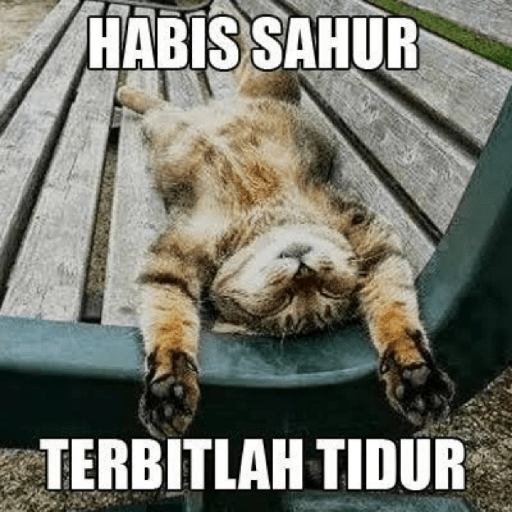 Sahur/puasa meme 10