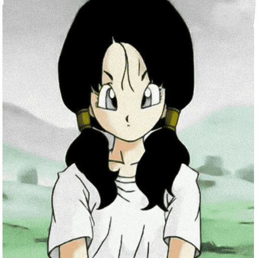 Videl / Dragon ball 7
