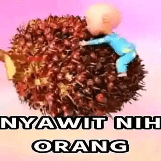 Nyawit nih orang 🌴 13