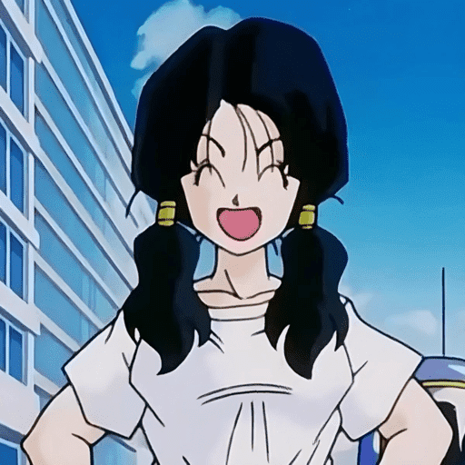 Videl / Dragon ball 2