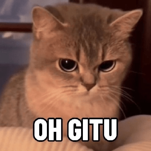 MEME KUCING 15