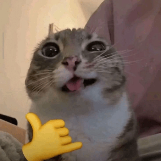 Kucing meme emoji🔥 11