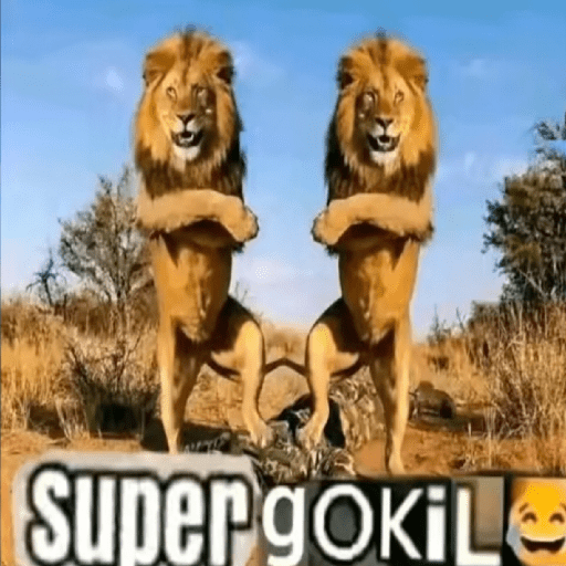 Meme gokil 3