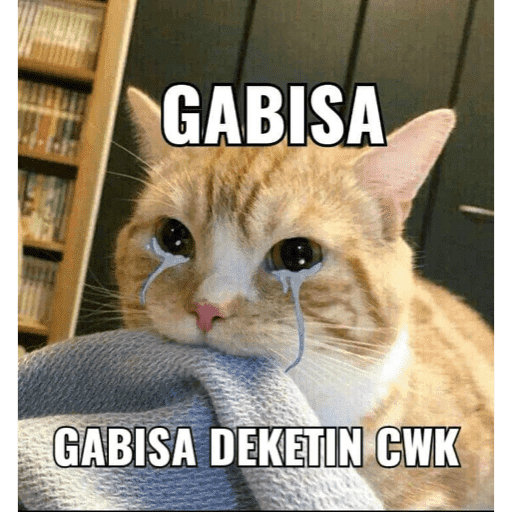 MEME KUCING BARU 2026🐱 16