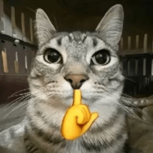 Kucing meme emoji🔥 10