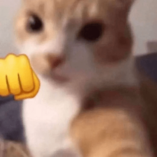 Kucing meme emoji🔥 4