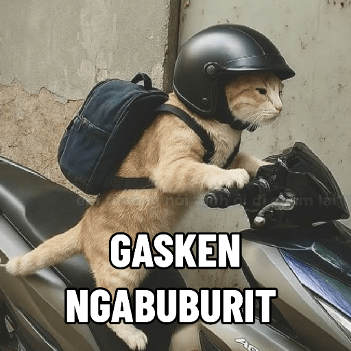 KUCING 13