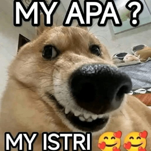 My bini meme🔥 7
