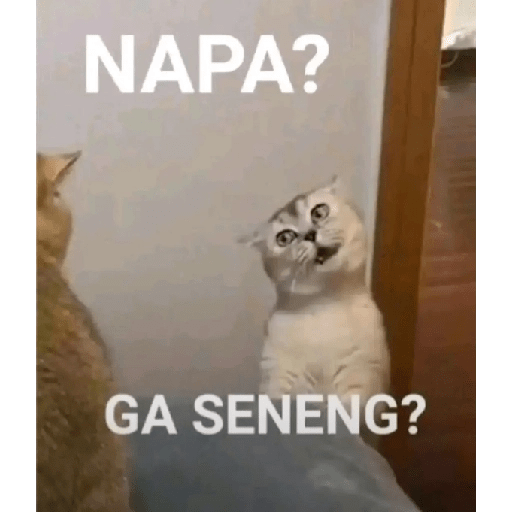 Balasan buat hate comment 8