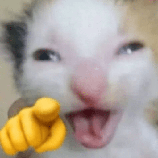 Kucing meme emoji🔥 3