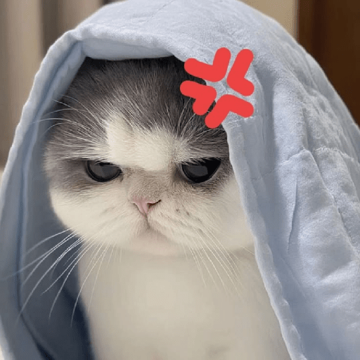 Meme kucing lucu 13