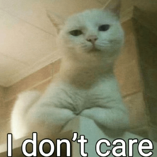 MEME KUCING 2