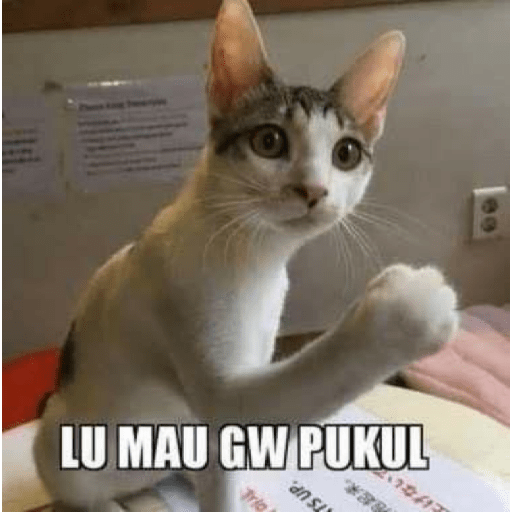 Stiker meme anomali lucu 20