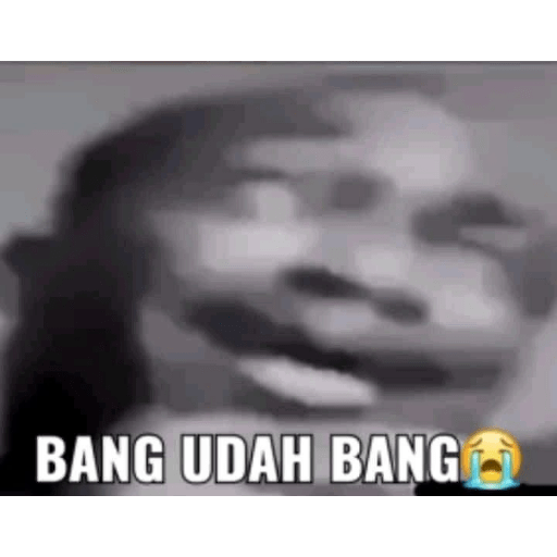 Meme 13