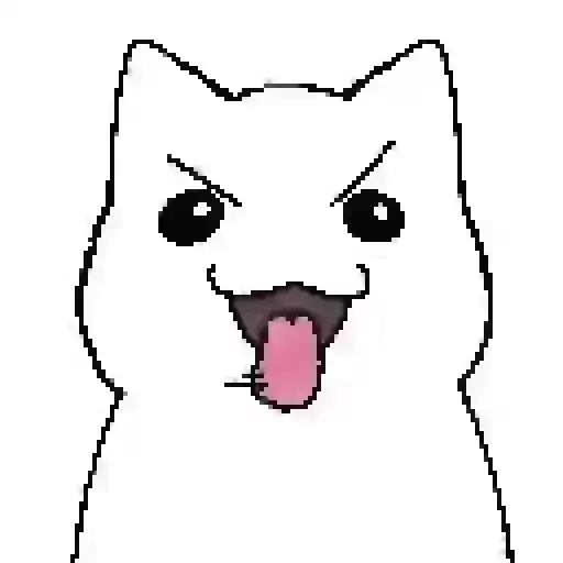 Cat 1