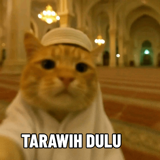 KUCING 9