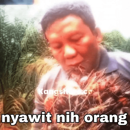 Nyawit nih orang 🌴 11