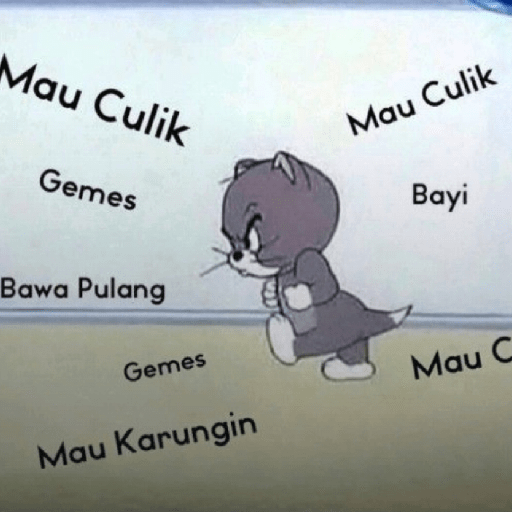 Meme kucing lucu 9