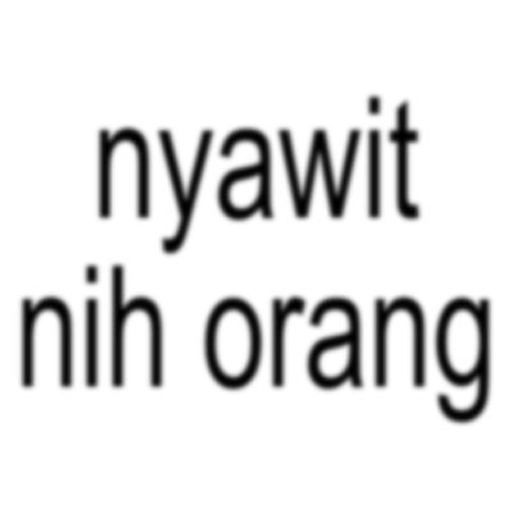 Nyawit nih orang 🌴 1