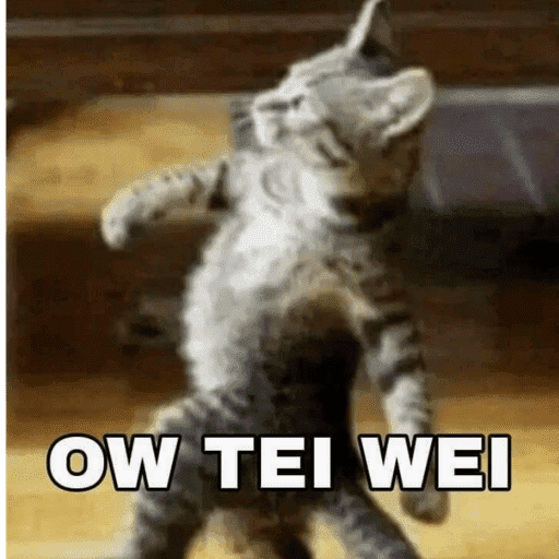 CATS AND DOGS MEME 7