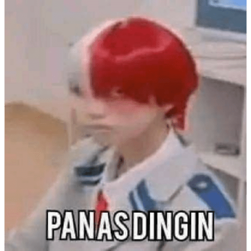 Meme 3
