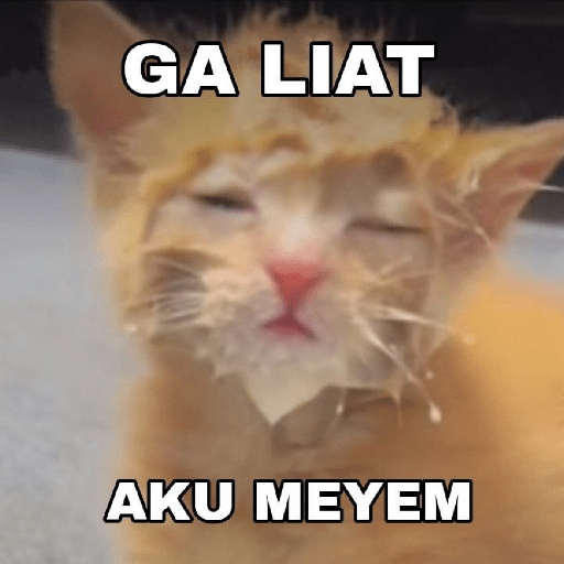 MEME KUCING 10