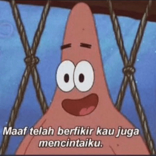 Patrik rusuh 15