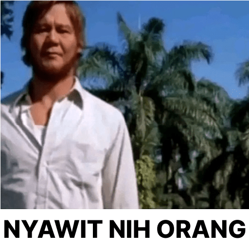 Nyawit nih orang 🌴 14