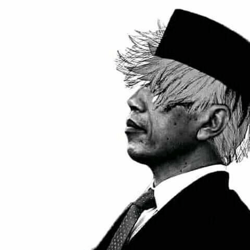 Ngab owi fufufafa sawit anime  5