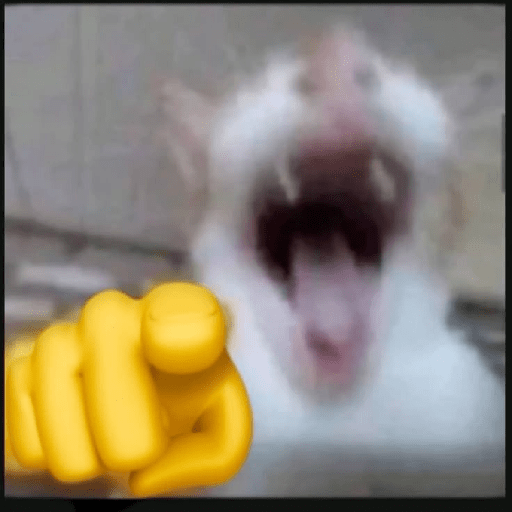 Kucing meme emoji🔥 5
