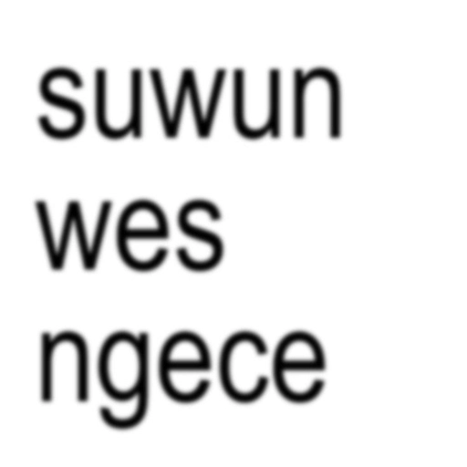 Kata-kata ngegas jawa 🗣️ 3