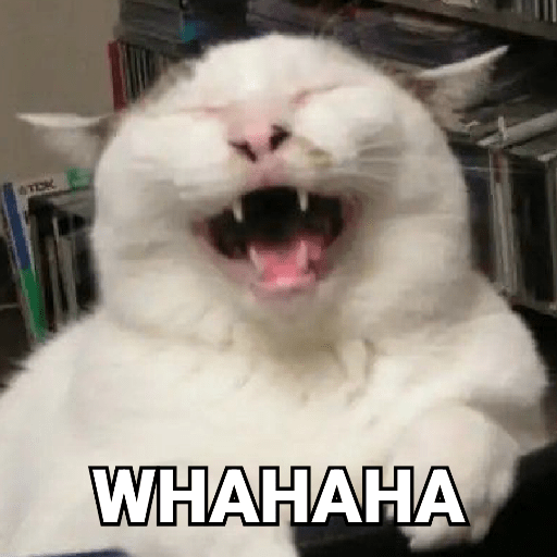 Meme Kucing Gemoy 😸✨ 12