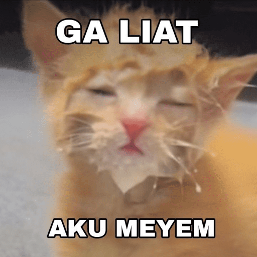 MEME KUCING BARU 2026🐱 1
